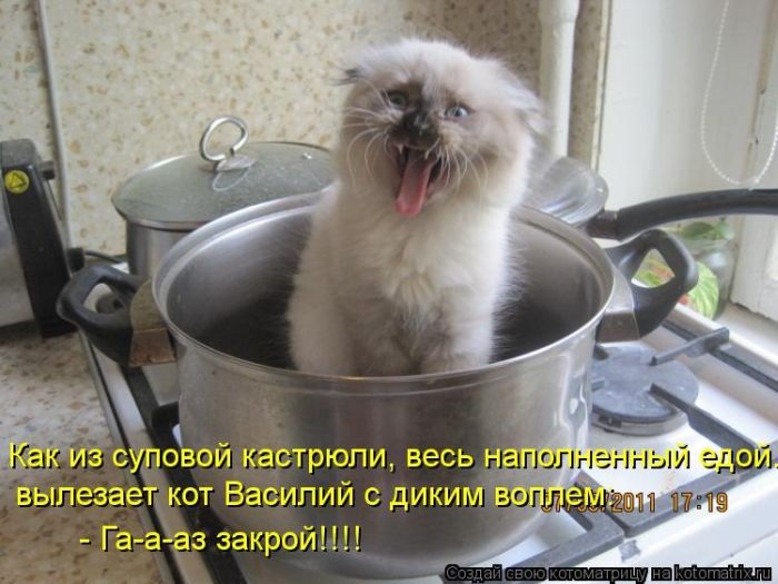 http://www.bugaga.ru/uploads/posts/2012-05/1337929826_kotomatricy-14.jpg