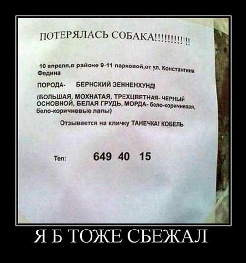 Крутые демотиваторы (27 шт) Крутые демотиваторы (27 шт)