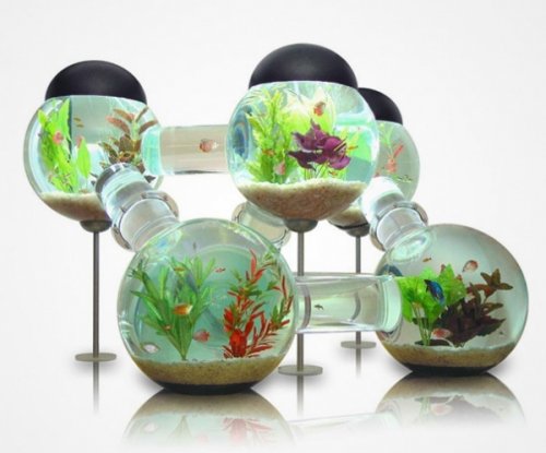 Необычный дизайн аквариумов (29 шт)