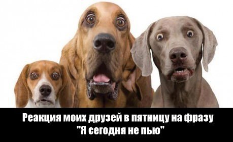 Смешинки Смешинки