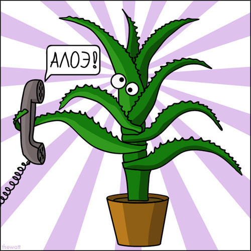 Икра слов от Валерия Зеватта Икра слов от Валерия Зеватта