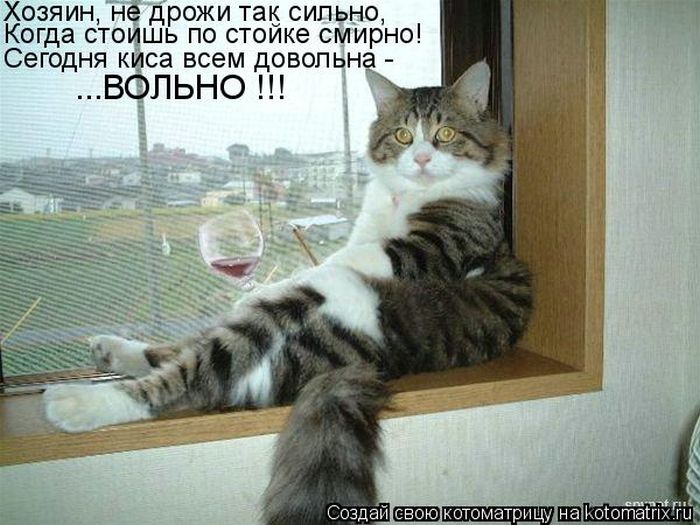 http://www.bugaga.ru/uploads/posts/2012-07/1342769982_kotomatricy-9.jpg