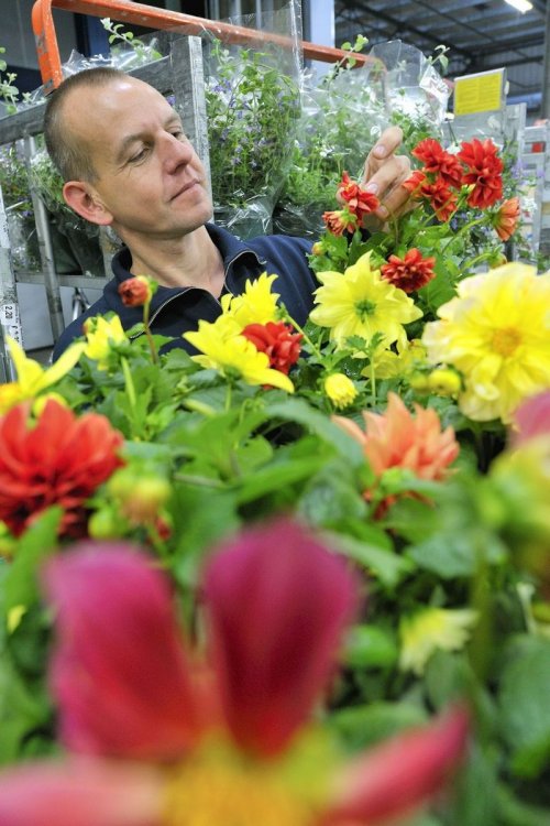 Цветочный аукцион FloraHolland в Голландии