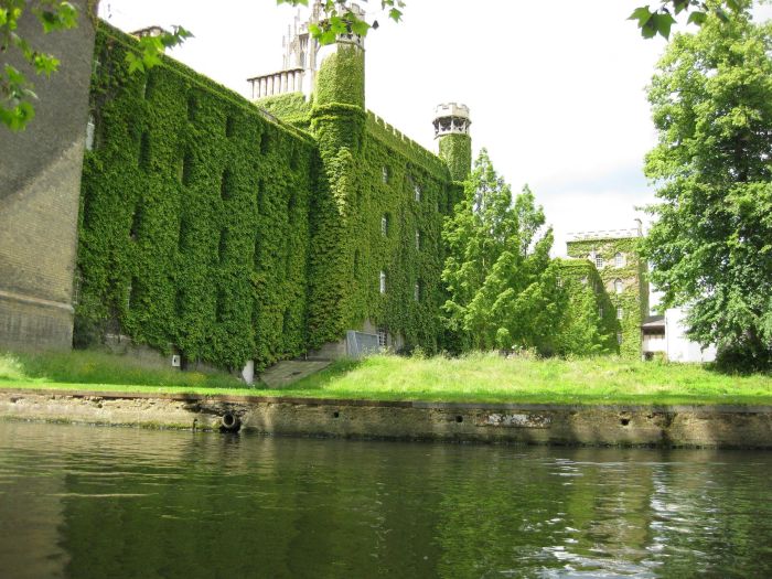 Опубликованное фото