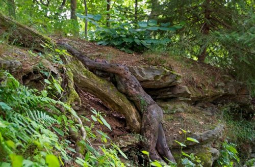 Мастер бодипейнтинга Крейг Трейси