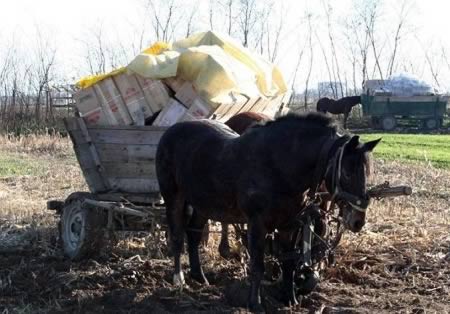 Топ-10: Худшие способы скрыться с места преступления Топ-10: Худшие способы скрыться с места преступления