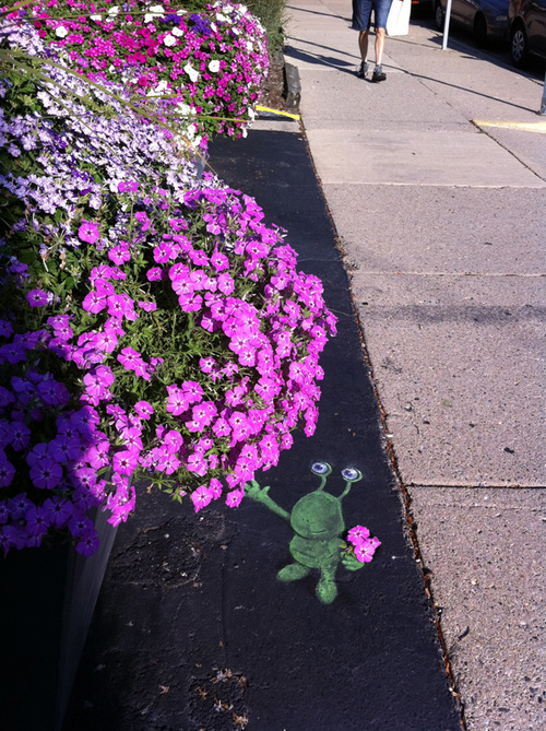 Слагго – забавное существо, живущее на улицах города Энн-Арбор Слагго – забавное существо, живущее на улицах города Энн-Арбор