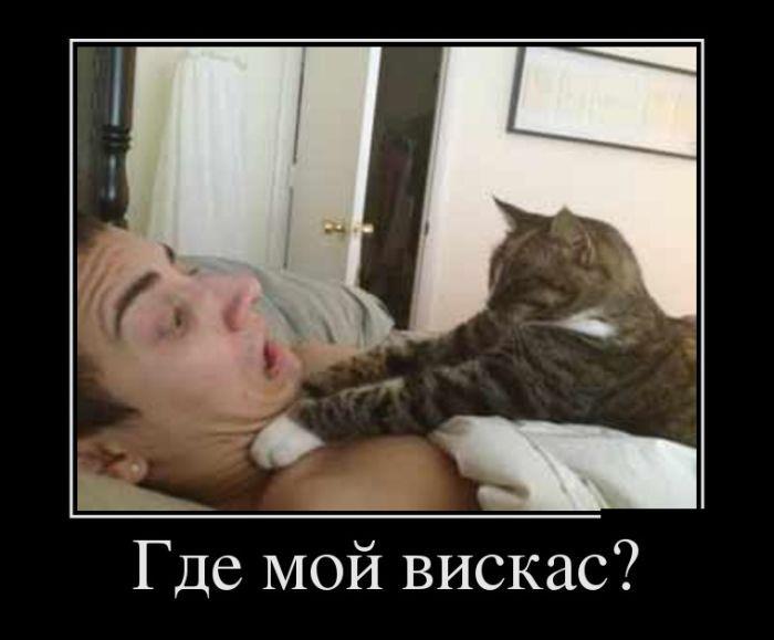 http://www.bugaga.ru/uploads/posts/2012-10/1349081058_aneki.jpg