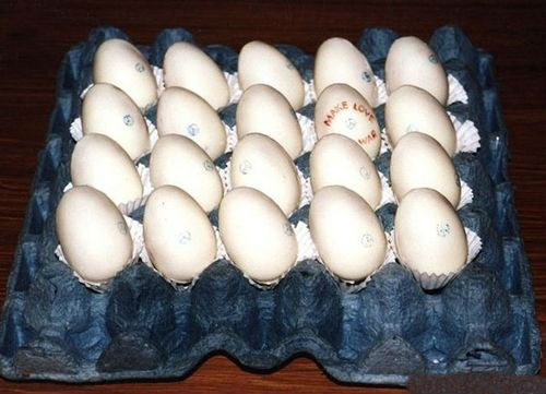 Креативные торты (48 фото)