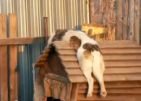 Не обращайте на меня внимание, я просто отдыхаю)