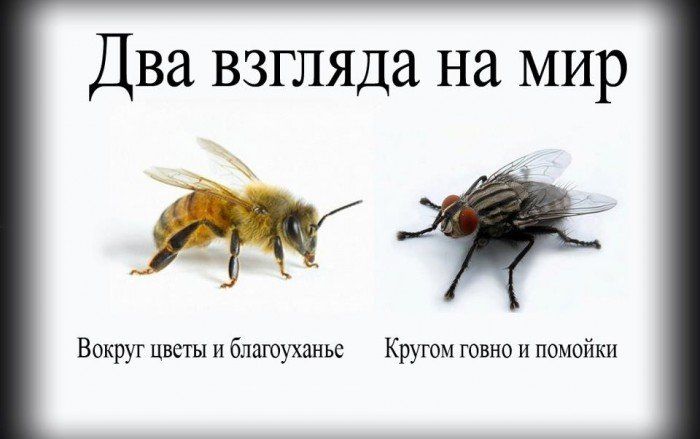 http://www.bugaga.ru/uploads/posts/2012-10/1351507635_prikolnye-kartinki-40.jpg