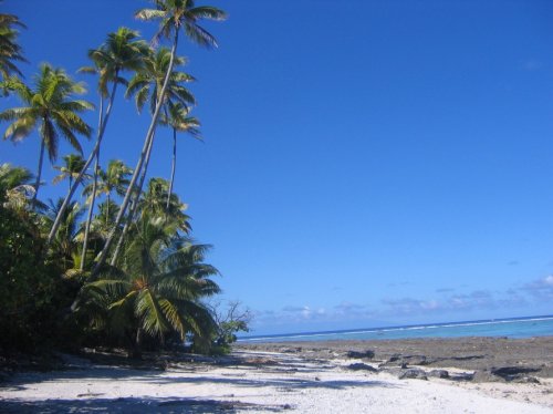 Жемчужина Французской Полинезии – атолл Тетиароа