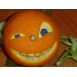 Топ 10: Слова, с интересной этимологией Топ 10: Слова, с интересной этимологией