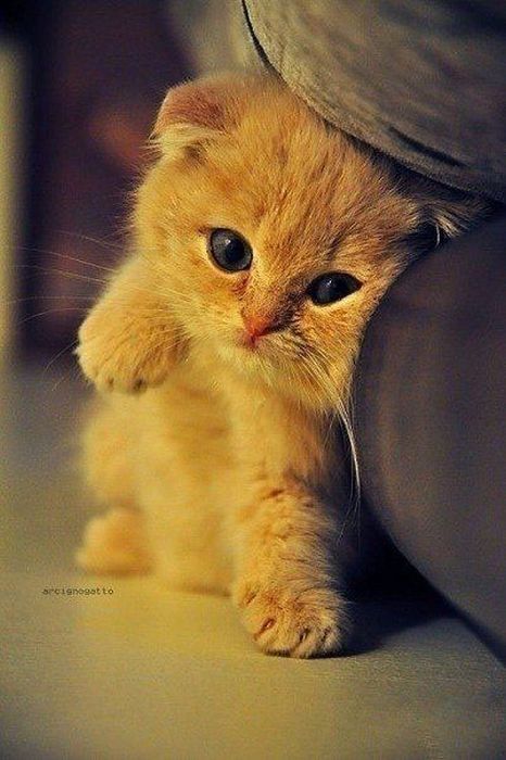 Фотографии, вызывающие положительные эмоции (43 шт) Фотографии, вызывающие положительные эмоции (43 шт)