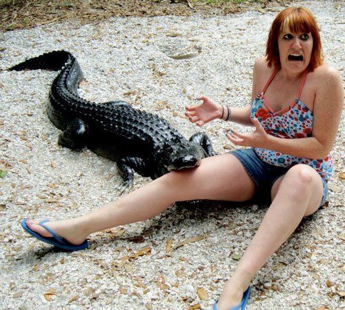 Картинки с приколами (44 шт) и анеки Картинки с приколами (44 шт) и анеки