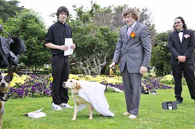 Топ-10: Самые сумасшедшие свадьбы Топ-10: Самые сумасшедшие свадьбы