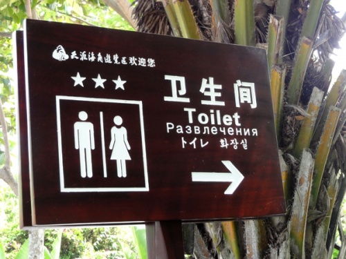 Новые китайские надписи (49 шт)