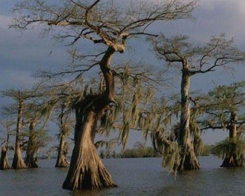 Десять жутких мест нашей планеты Десять жутких мест нашей планеты