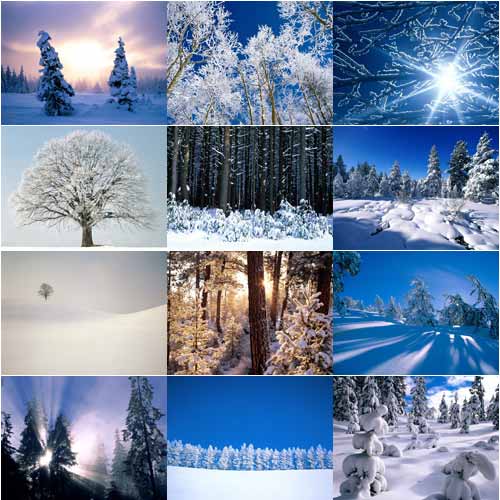 Топ-10: полезные зимние советы