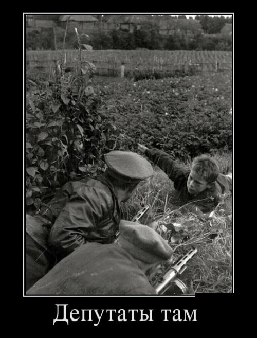 Опубликованное фото