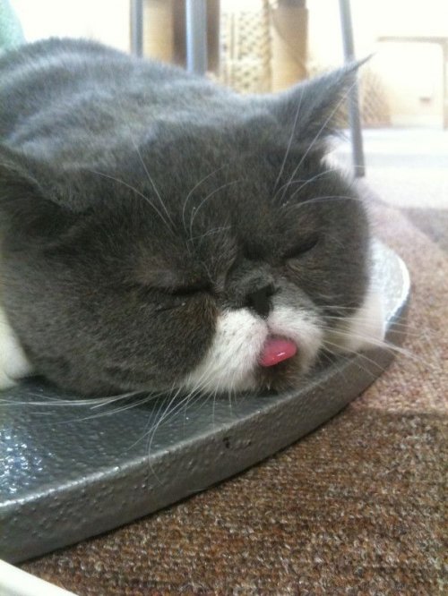 Опубликованное фото