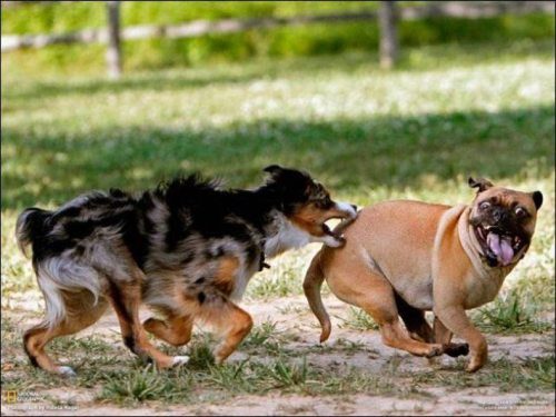 Случайные фото (13 шт) Случайные фото (13 шт)