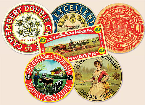 12 Интересных фактов о сыре 12 Интересных фактов о сыре