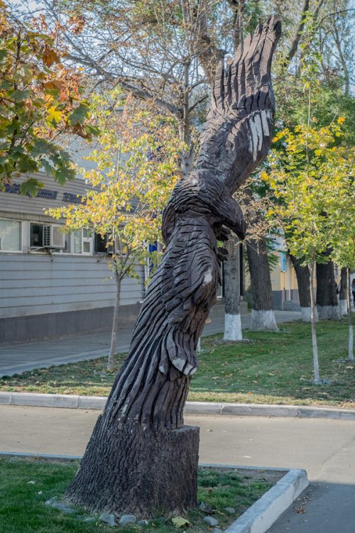 Скульптуры из деревьев на улицах Симферополя
