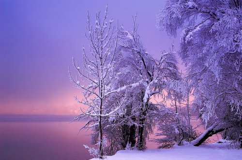 Потрясающие зимние пейзажи (21 шт)