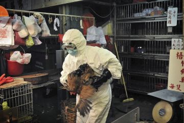 10 Научных открытий и изобретений 2011 года 10 Научных открытий и изобретений 2011 года