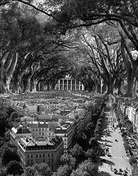 Параллельные миры Томаса Барбей Параллельные миры Томаса Барбей