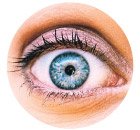 19 Удивительных фактов о теле человека 19 Удивительных фактов о теле человека