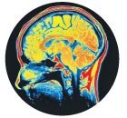 19 Удивительных фактов о теле человека 19 Удивительных фактов о теле человека