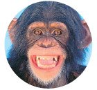 19 Удивительных фактов о теле человека 19 Удивительных фактов о теле человека