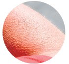 19 Удивительных фактов о теле человека 19 Удивительных фактов о теле человека