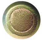 19 Удивительных фактов о теле человека 19 Удивительных фактов о теле человека