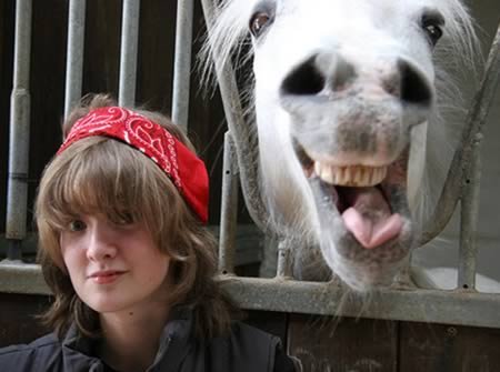 12 Лучших фотобомб с участием животных