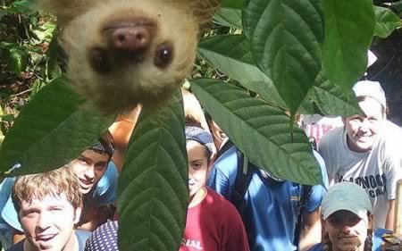 12 Лучших фотобомб с участием животных