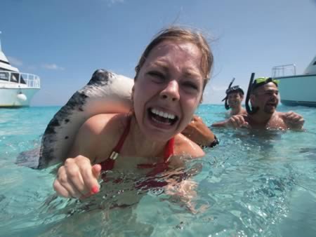 12 Лучших фотобомб с участием животных