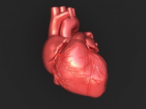 10 Теорий о происхождении сердца Святого Валентина