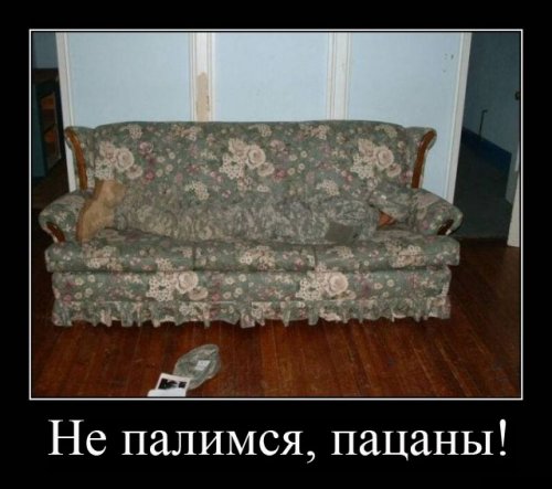 Приколы на 23 февраля (30 шт)