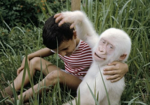 10 Удивительных животных-мутантов