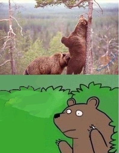 Свежие прикольные картинки для вас (58 шт) Свежие прикольные картинки для вас (58 шт)