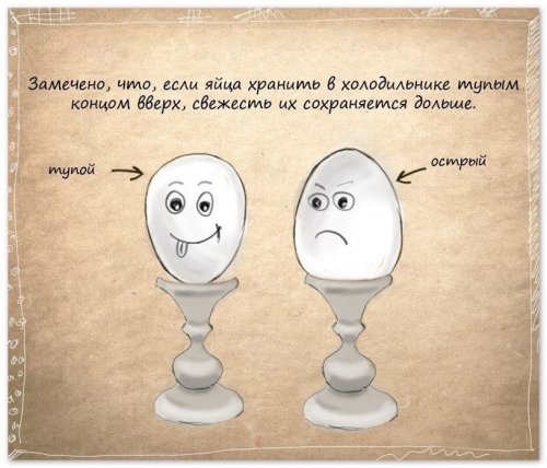 http://www.bugaga.ru/uploads/posts/2013-03/thumbs/1363372311_domashnie-sovety-3.jpg