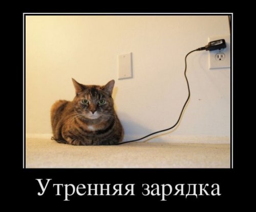 Демотиваторы приколы (17 шт)