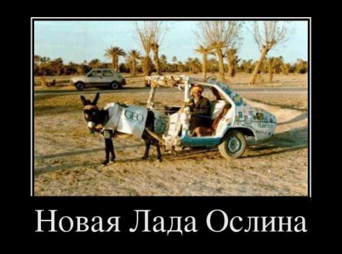 Демотиваторы приколы (17 шт)