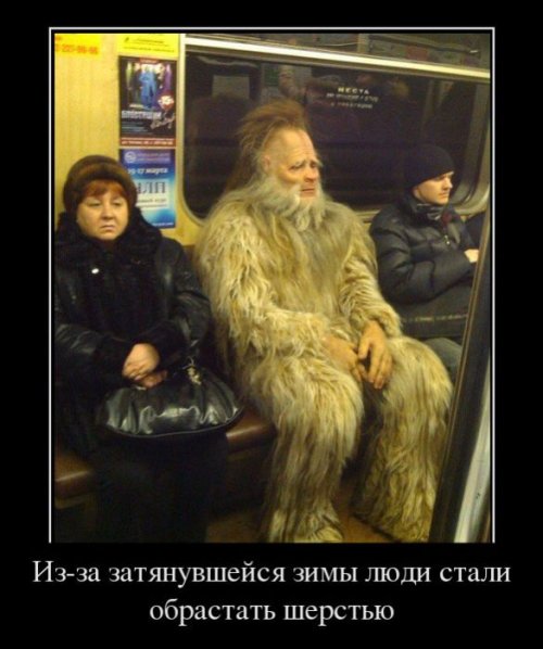 Демотиваторы приколы (17 шт)