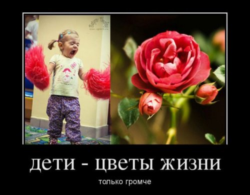 Демотиваторы приколы (17 шт)