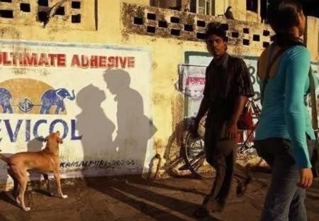 12 Самых смешных теней на фотографиях