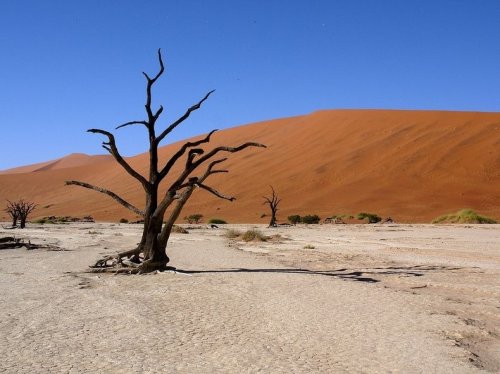 Сюрреалистический ландшафт Дедвлей в Намибии